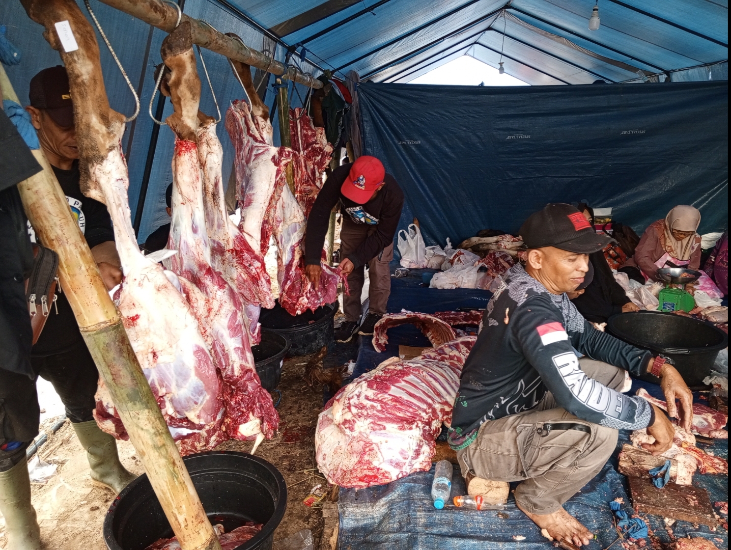 Himbauan Dispangtan Kota Bandung Tentang Pembagian Daging Kurban Tahun 2024